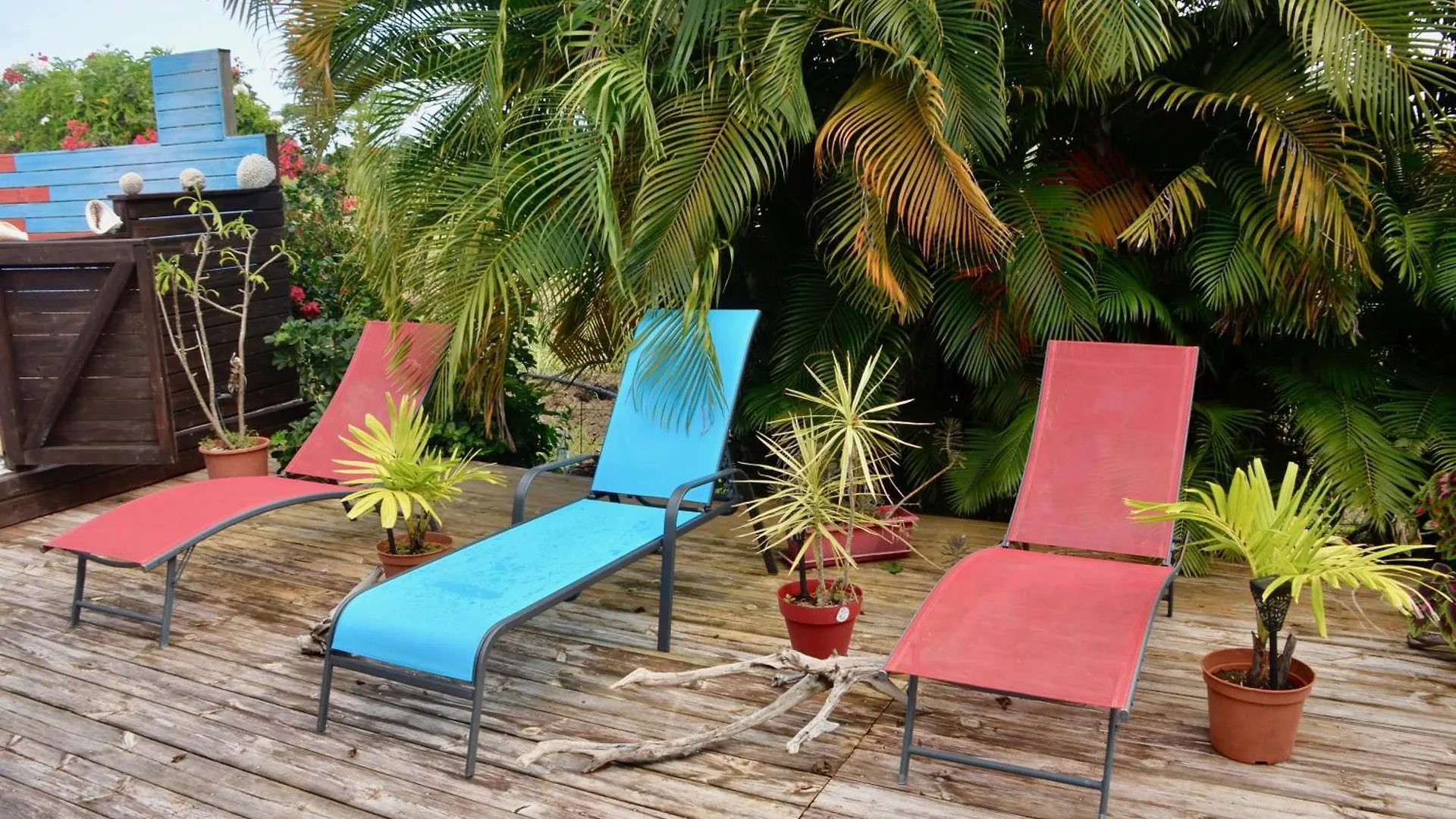 Bungalow La Perle - Jacuzzi - Piscine Saint-Francois  Apartment Saint-Francois (Grande-Terre)