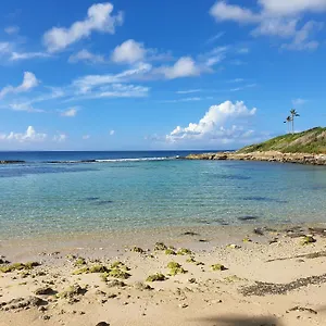 Le Manganao Bougainvillier Beach Appartement